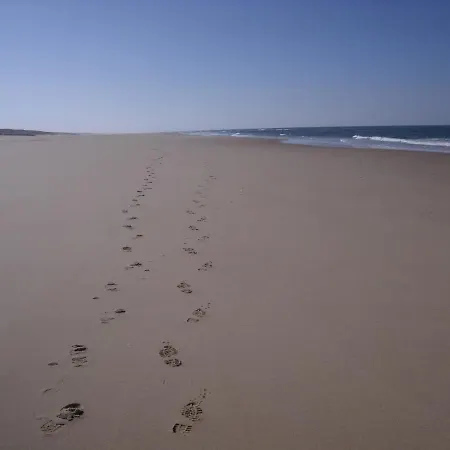 Location Landes *